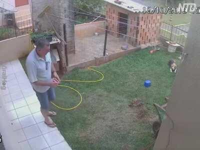 DefiniTely belongs here!