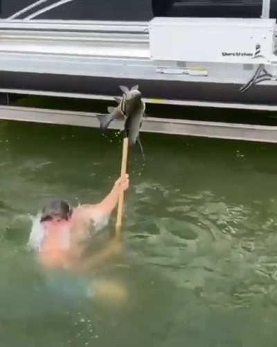 One pitch fork 2 fish