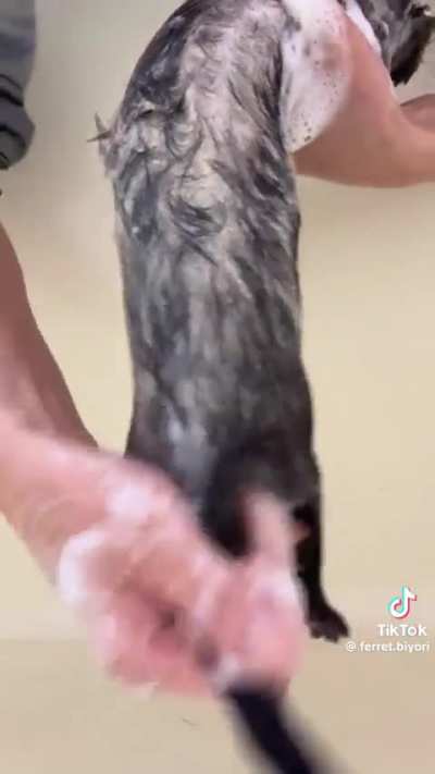 In the bathtub, straight up “jorkin it”, and by it, well… let’s just say, me wunkus 