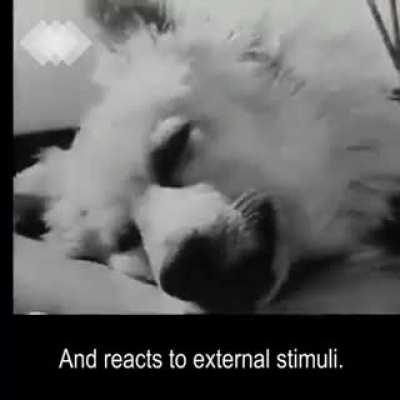 Biraz da bilim (bizim biblede yaziyodu)