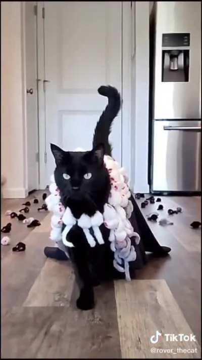 All must kneel before the Lord