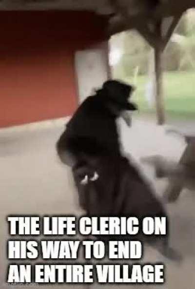 I play a SUPPORT class.