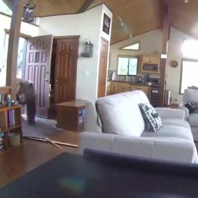 When I think I wanna live in the mountains and then I see this