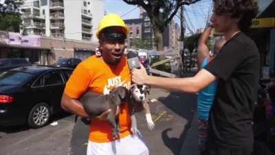 Coney Island is LIT!