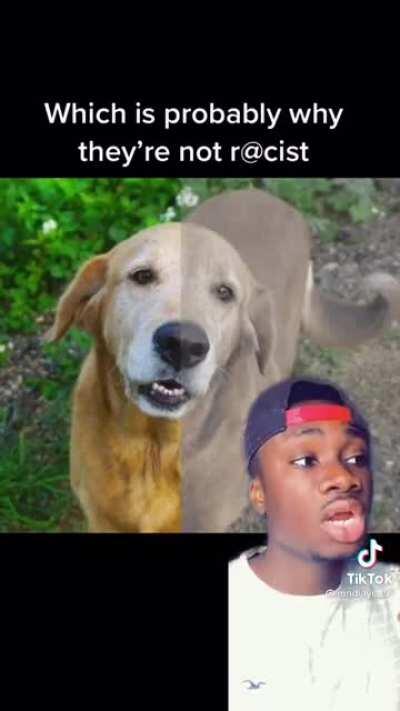 A lot of HolUps in this one. 😂