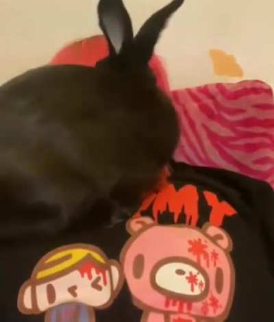 Conor Mcgregor Bunny