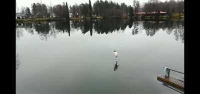 Meanwhile in Iceland