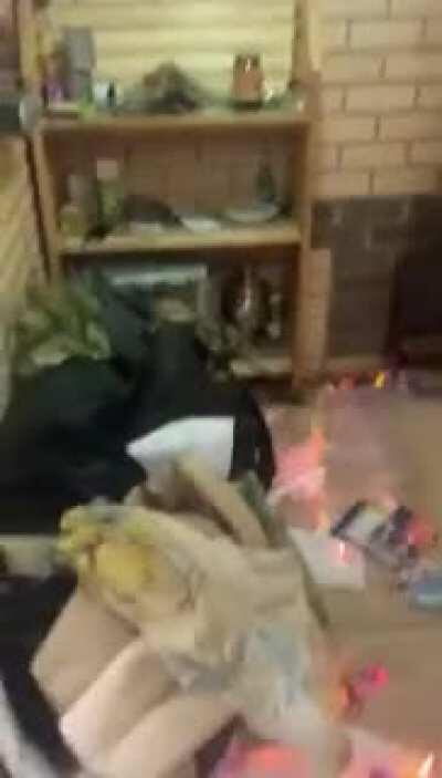 Guys spilled moonshine in the sauna