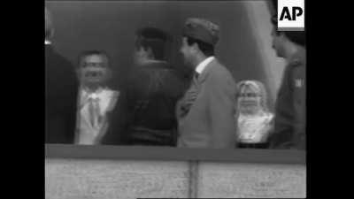 SIGMA MALE SADDAM #Gorillionaire Grindset