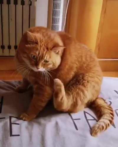 When you get an itch where you can't scratch