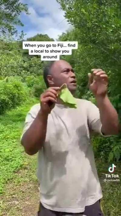 This bubble producing plant