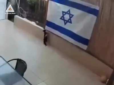 Gato remove bandeira de ishell de parede