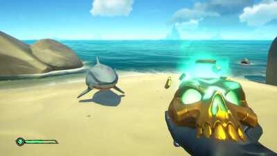 That is one determined shark...