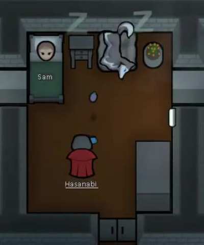 How can I get my dog to stick to her assigned zone? Is she stupid?