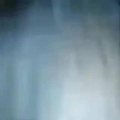 A very nice haircut indeed