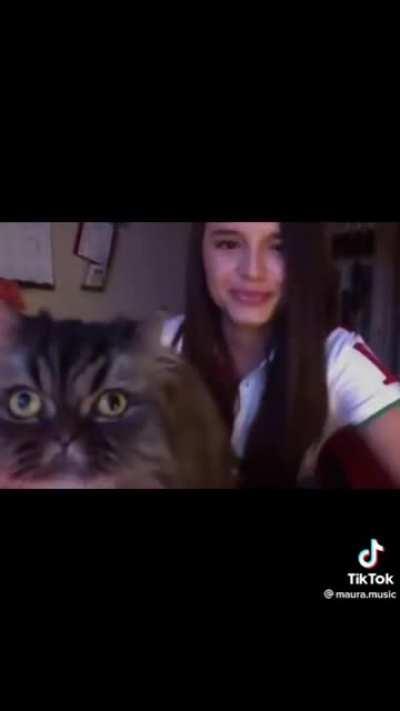 Persian cat opera diva will not be outshined!