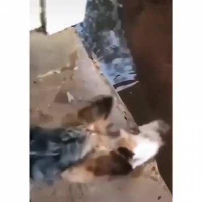 Пойдем домой, малой. У меня хороший человек