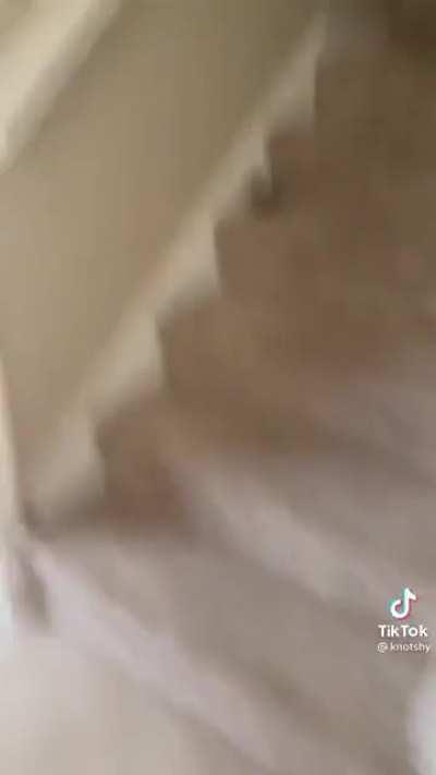 Brings mommy a present