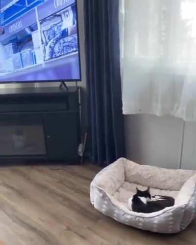 “I... I guess I fits”