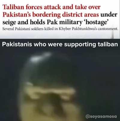 Hmmm, there's some terrorists in my backyard