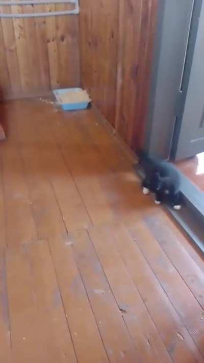 Bring home your friend they said