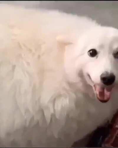 had me scared for a second