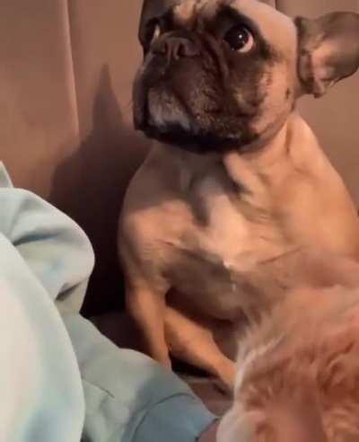 Jealousy is a heartless mistress