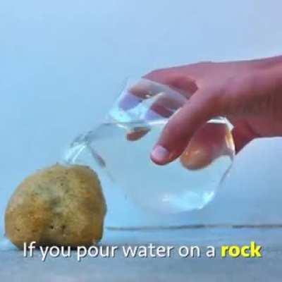 Look what happens when you pour water on a rock.