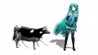 Cuando eres Otaku pero te gustan los Memes