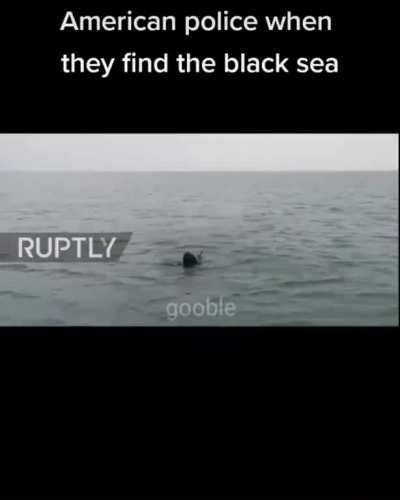 but visten de negro . En fin la hipotesis