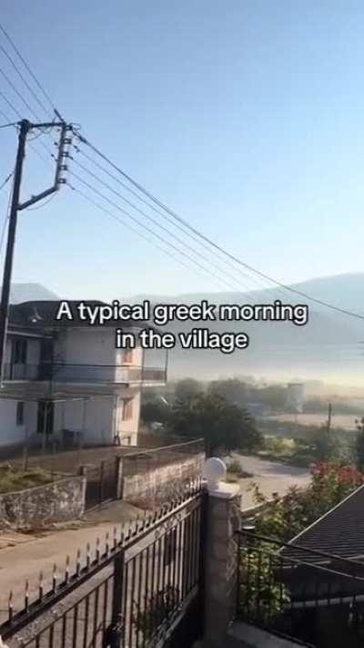 I love it when my Greek daddy screams at me 😏