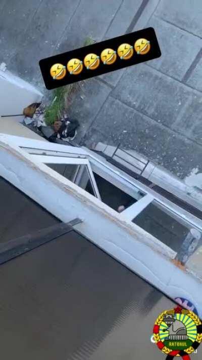 La aer liber pe balcon