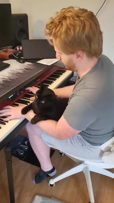 Just playing some Debussy and this guy was desperate for some cuddles