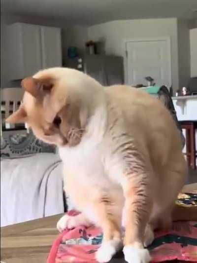 Whats wrong with him???