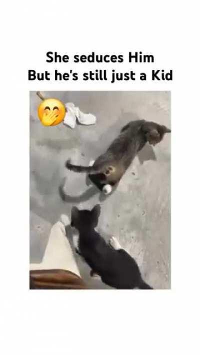 Save yourself for marriage King 👑