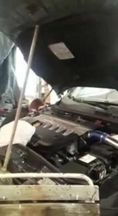 Šta majstor misli o Alfi!