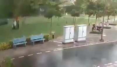 lightning struck four people hiding under a tree from the rain in India