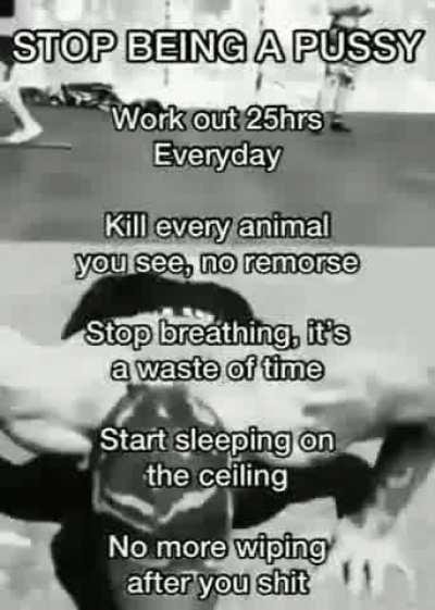 how to become a alpha male 101