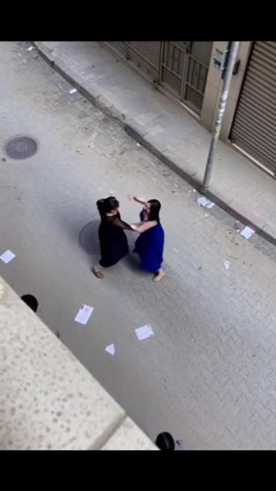 AI Alleyway Catfight