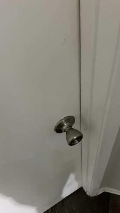 I love him to death, but he’s not always the brightest