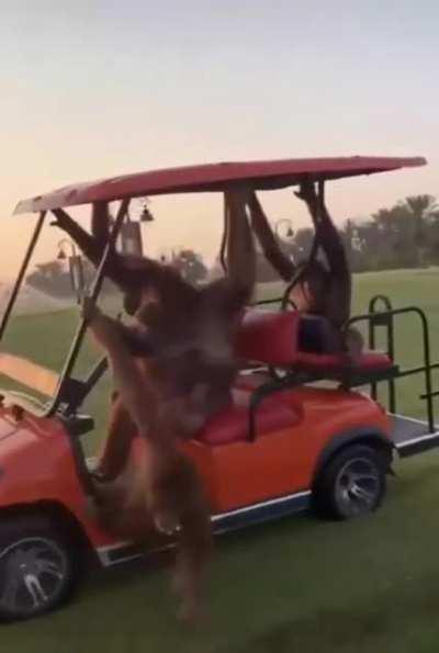 On their way to steal your girl