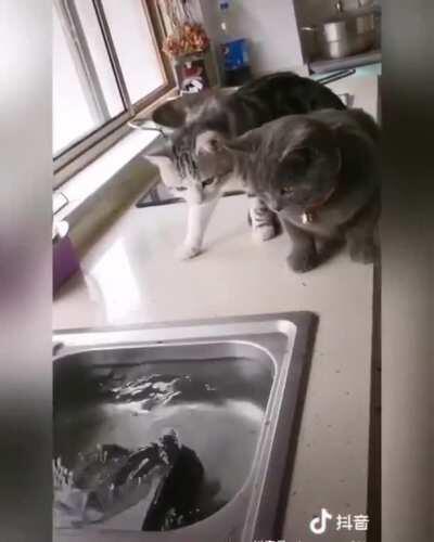 Well well well... How the turntables.