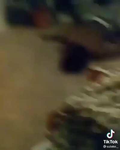nigga tried to do a backflip