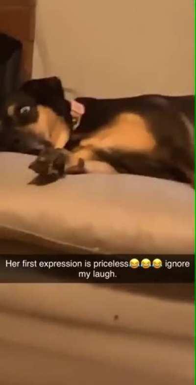 He askin us if we seein that shit