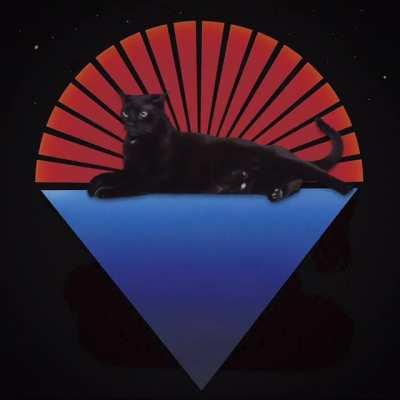 An actual cat, under the stars.