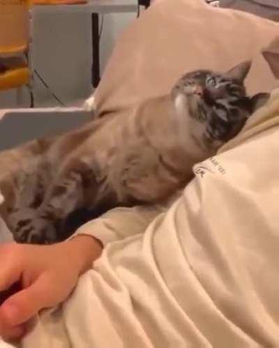 That’s how they getcha!