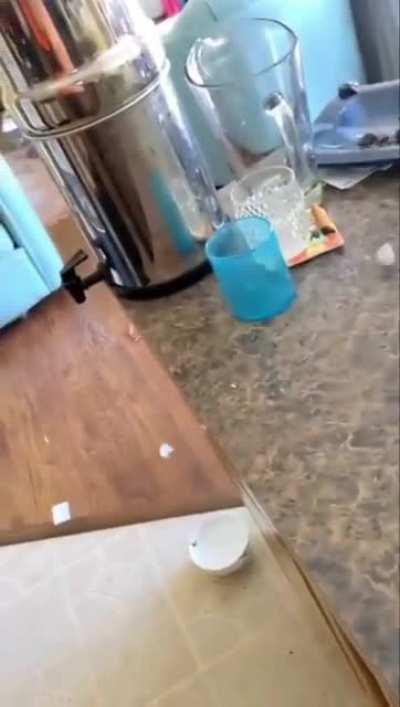 If I fits I sits gone wrong