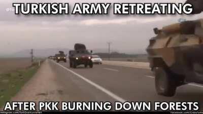 föşik tecelilerin ormanları çko tehlikeli