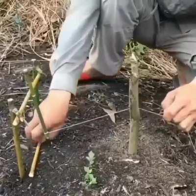 Вот вам отличный способ как нужно ловить рыбу.