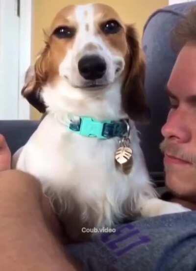 Kevin from the Office!